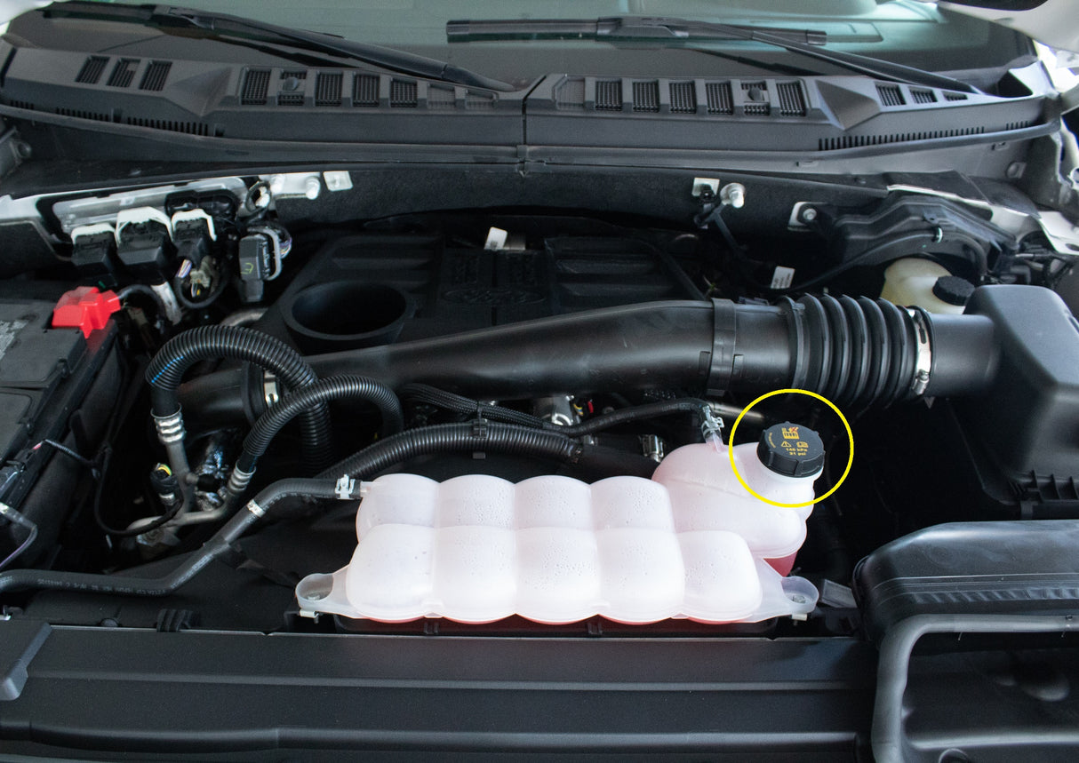 Ford Motorcraft RS-531 Coolant Reservoir Tank Cap 2020-2026 6.7L & 3.0L Powerstroke